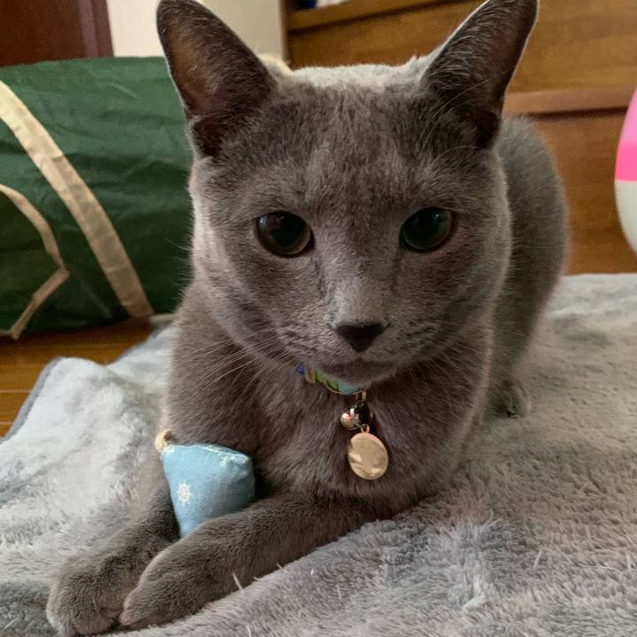 9a5d1c2d 4762 4d2d bd43 38c40c5af287 1638513129956