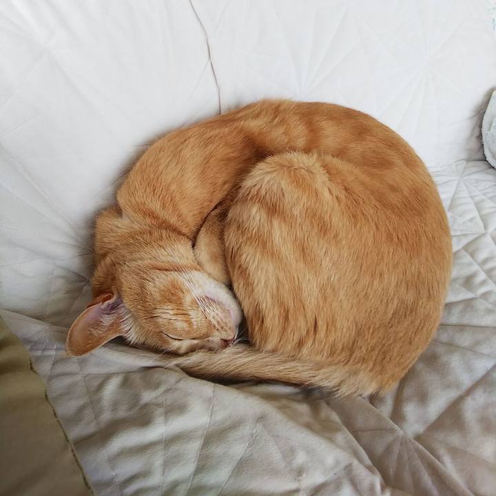 9a5d2842 e08b 4b5e 88e5 c97aa94a2f57 1632633710019