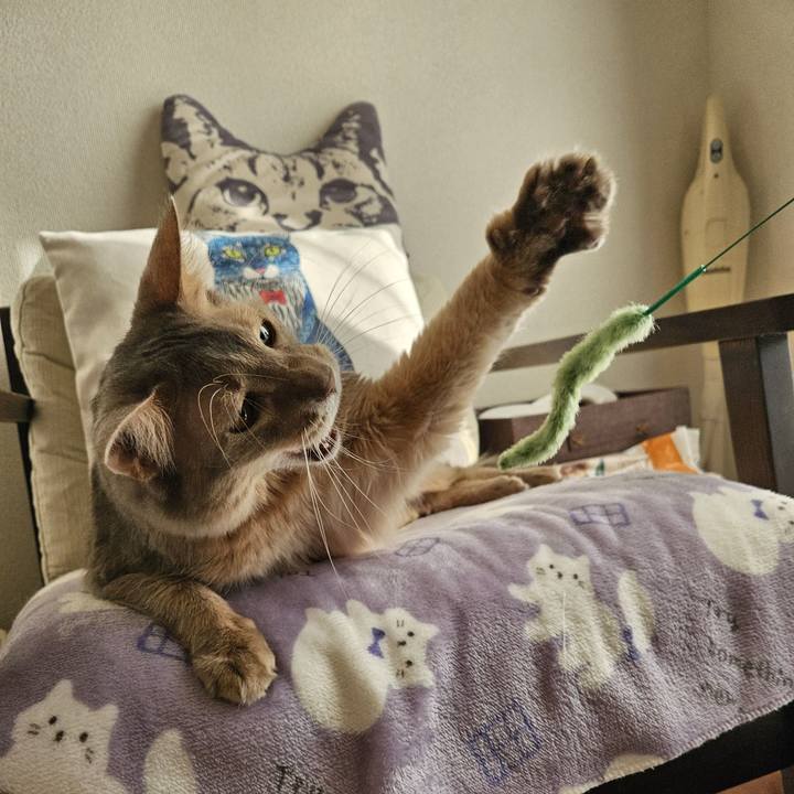 9a5d5a3c 6462 4dfd 8455 86c1fbd8a949 1710125754946