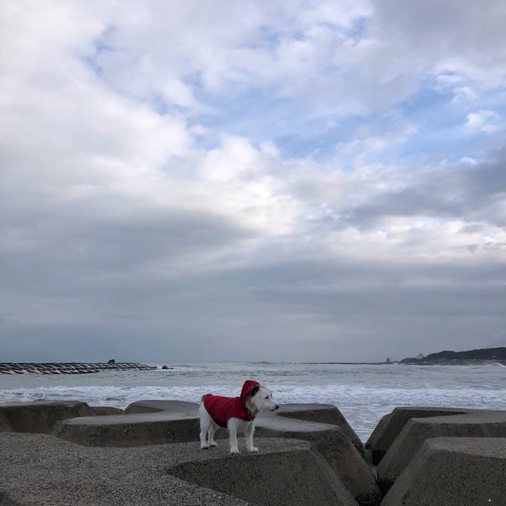 9a5d5a6a 9617 4d6a 9dd0 3f1b7c1cd6f9 1609028601250