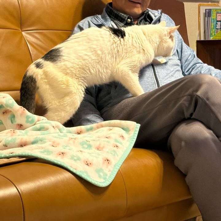 9a5d9bb3 5a5e 4b50 b8ff 4af228995285 1761370962633