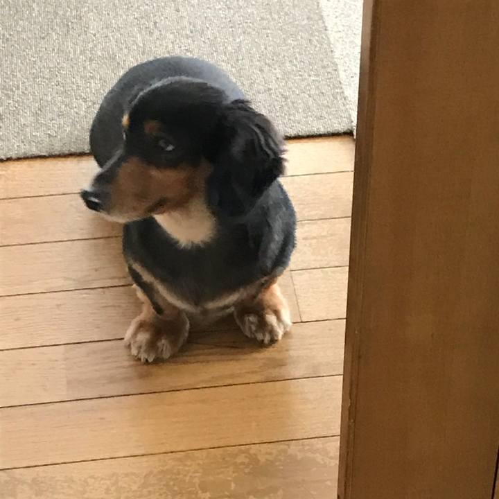 9a5da6d4 c1ae 41e4 9b8d 3021edefc999 1532990490896