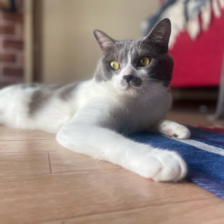 9a5dc123 ad43 442c 9132 2dd854755417 1632016029697