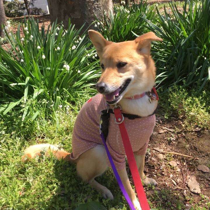 9a5de110 23b2 499b b2bb fb9748607d84 1553410872791