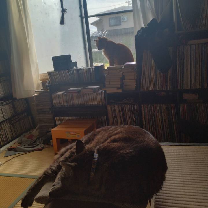 9a5df663 95b6 48fe 8f4d 1fcb662052aa 1750026869523