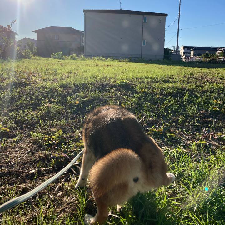 9a5e09ba ea67 4b6d 8245 6b8f23c54d28 1730938833178