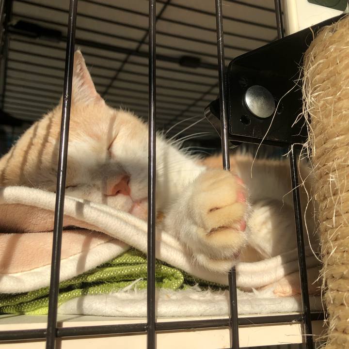 9a5e0d11 bbfd 4623 b8dd 36974abf6ba6 1602544865237