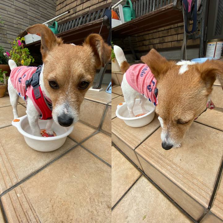 9a5e1904 6789 4a83 b868 5660e201331d 1589770867535