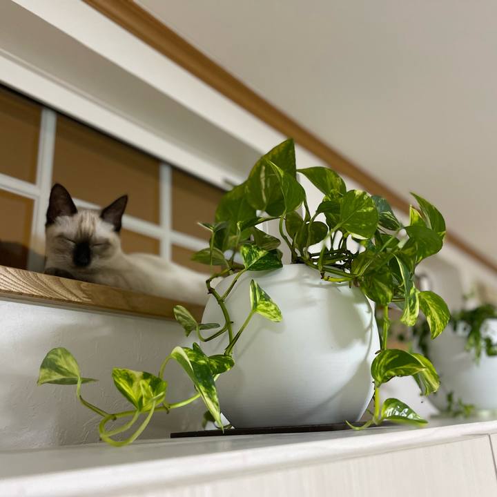 9a5e62b5 992d 477b a130 551f604aed6d 1692450104088