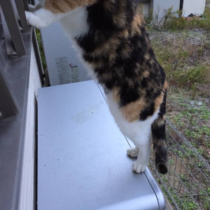 9a5e84e1 86ae 44f7 a643 e09797b40c9b 1510049652700