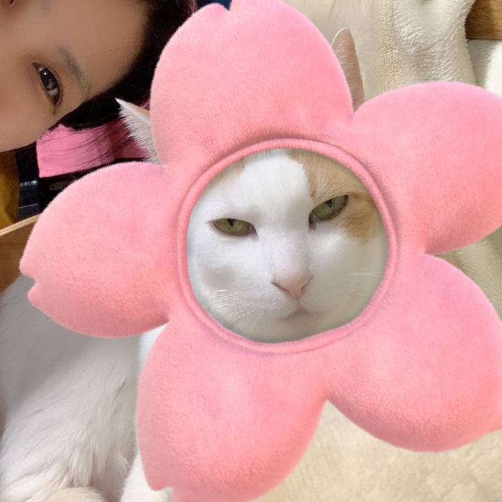 9a5ed7dc b51d 4676 b4d5 3d6e4a9555d8 1584716500447