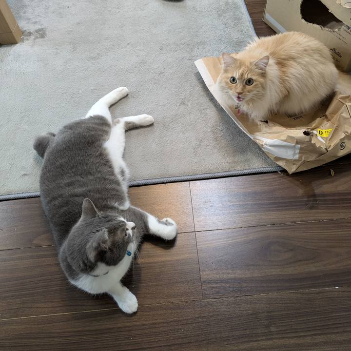 9a5eddcc 5810 470a a118 cca595d4958e 1749775549779