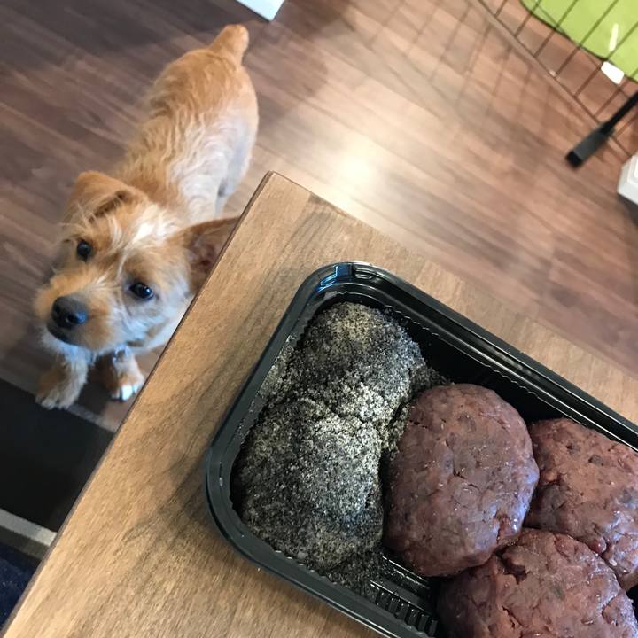 9a5ef367 9cd8 4fac bcdd 4566fa101a24 1524574843267