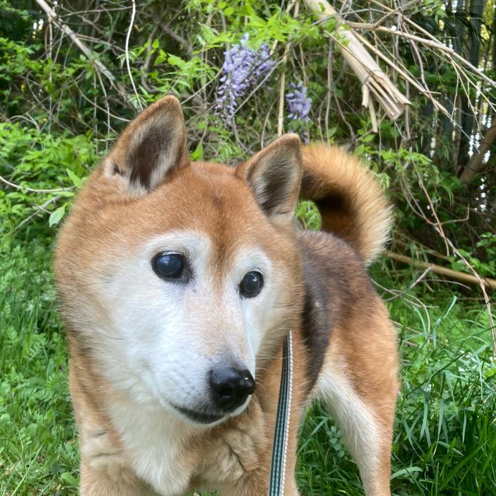 9a5f5685 175c 4df4 9137 2e47cad180d9 1744878221105