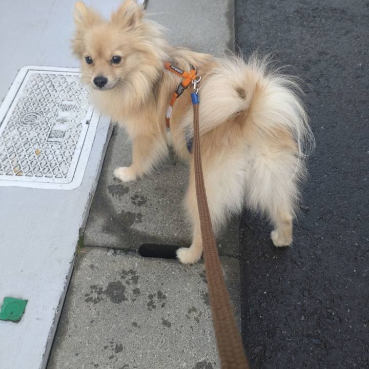 9a5ffc40 6a29 447f ae69 d2c0a4d3b67b 1762384526503