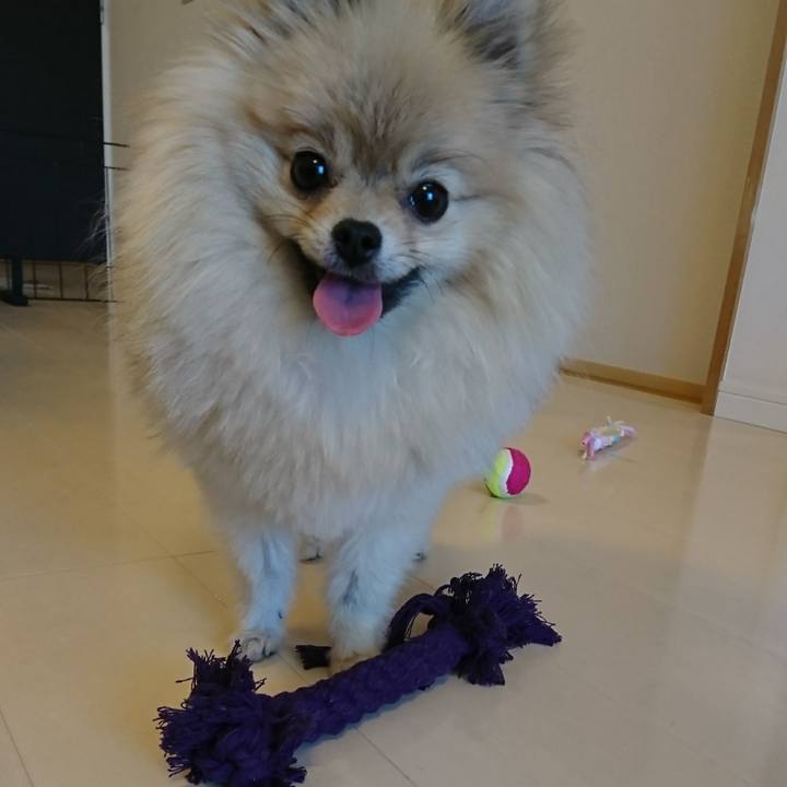 9a6011c5 8f1a 4c8b 978b 173398bd2870 1523232247784