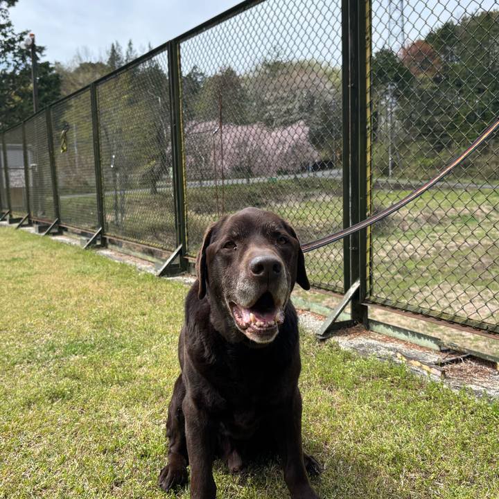 9a6013e1 9eda 4b8d a240 f2923f1eb150 1776260479902