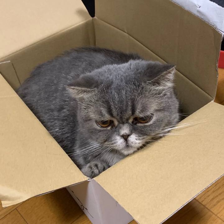 9a601ec5 9693 4588 8e0a 6738c04fec5f 1563289052075