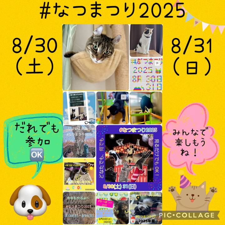 9a603f86 18e1 4962 9a58 55fba1249892 1756444181824