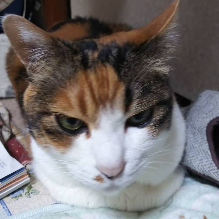 9a604651 513f 4514 a204 150298d34a0a 1564695988122