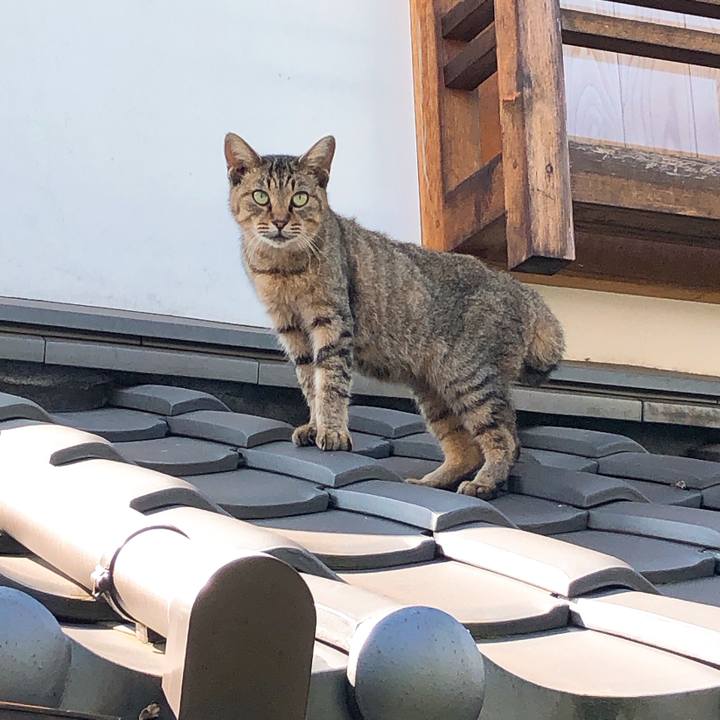 9a604e57 46d7 476c b32c 75ce6ca288c5 1633396172178