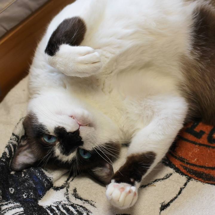 9a607f22 a5bd 4124 8035 11c377be58b3 1509197820420