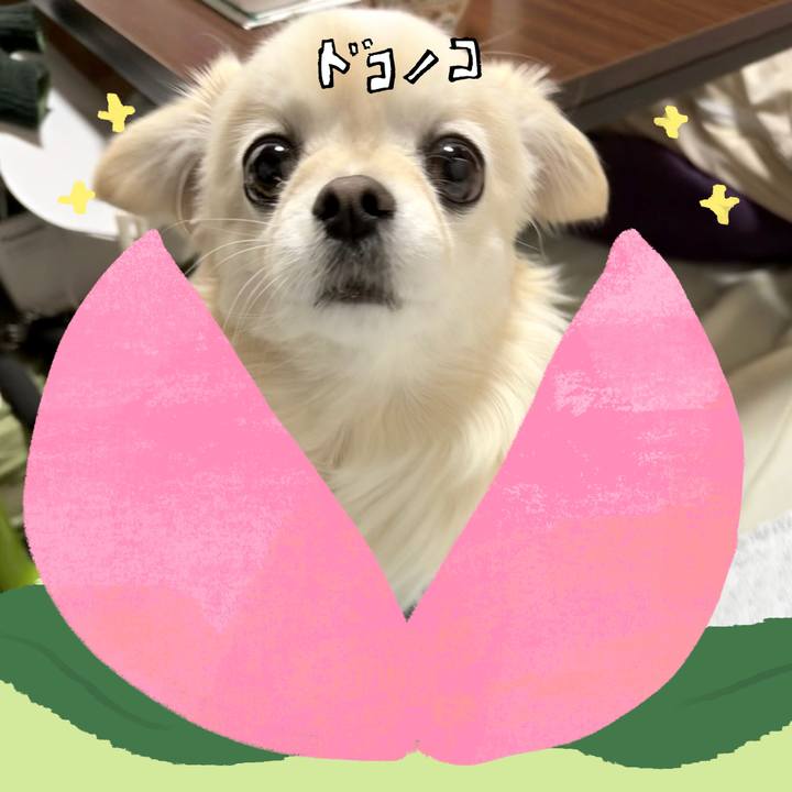 9a60828d 3b9e 4ab0 8b3a 0edb6ec332d9 1772415195349