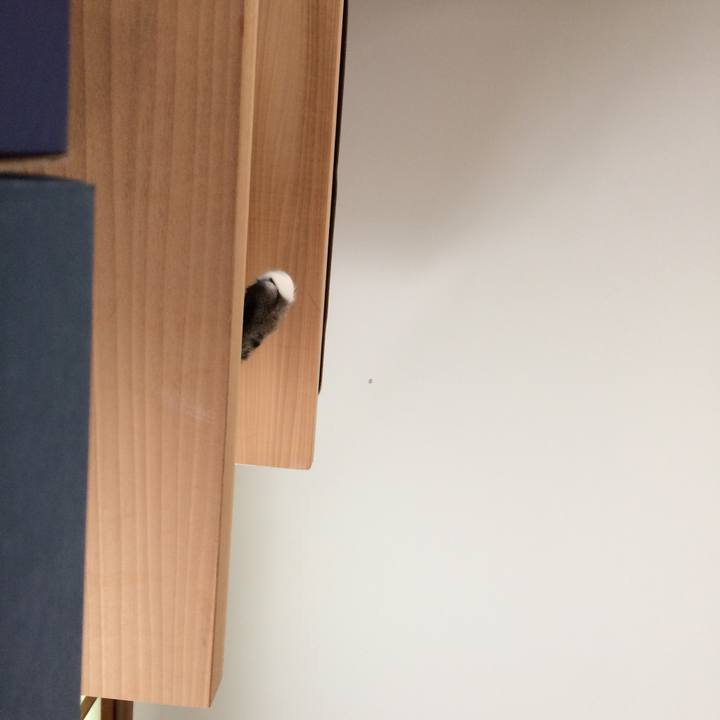 9a609688 60b2 4fd9 b893 cbdd2deee4db 1528330779078