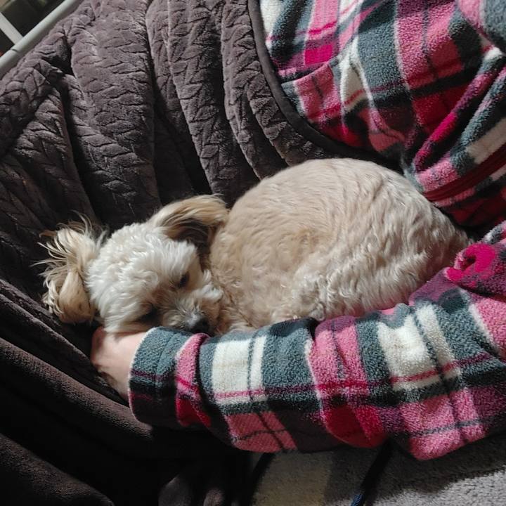 9a609cea 037e 43be ad39 6360cfd7d187 1645355278926