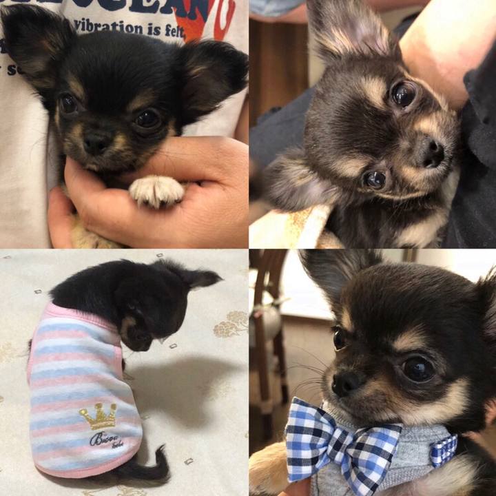 9a60a2a2 0925 4bb4 87c0 5c999b1065bd 1571211615765