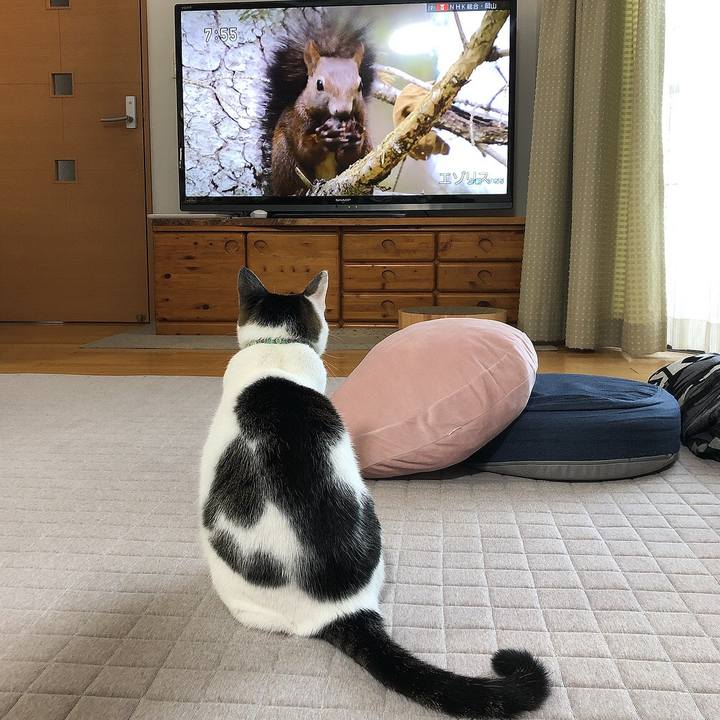 9a60cafc 4915 49df 9c0e 94a6623258a0 1638053877149