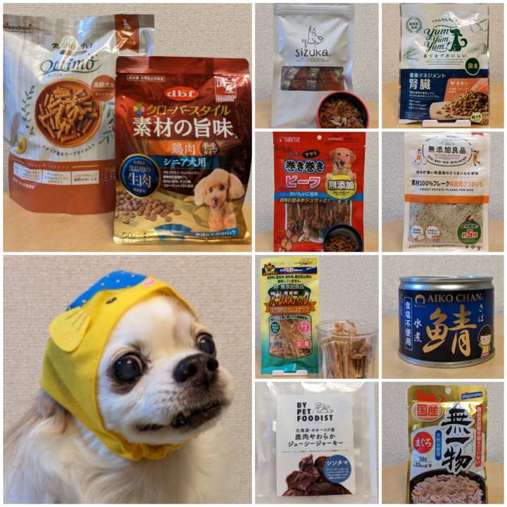 9a60d2b9 1dc3 4eb8 85c7 22a01488f6e8 1674376959420