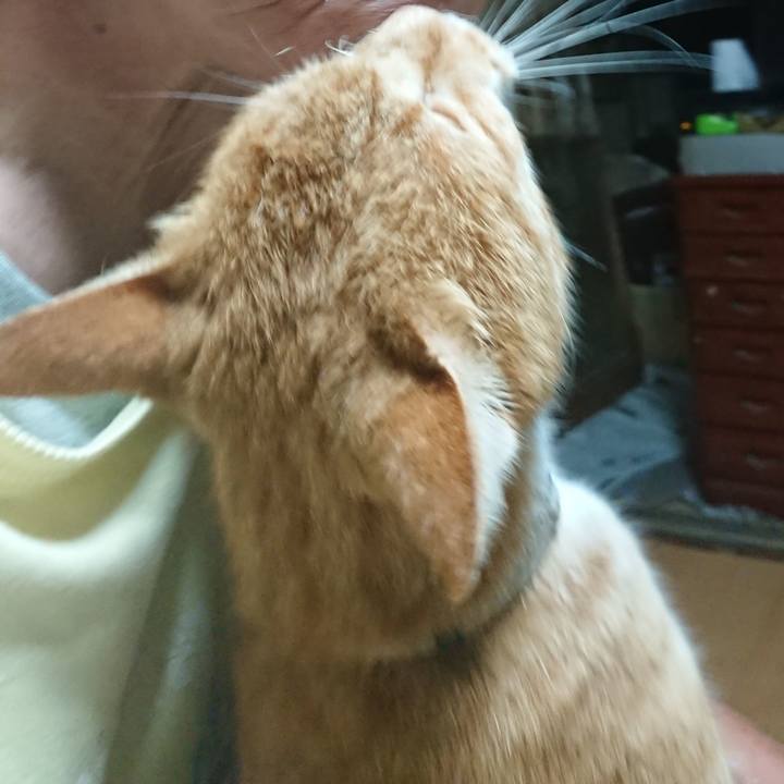 9a6144fb 6211 4d6a 926f 1132eaea8415 1596916655553