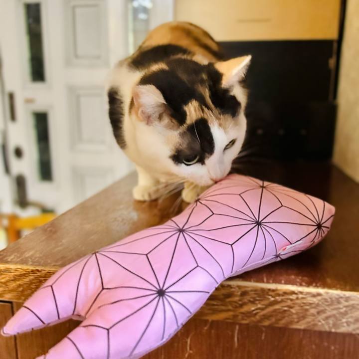 9a6176eb 3dc2 41cc a283 f077328f4eeb 1671760327205