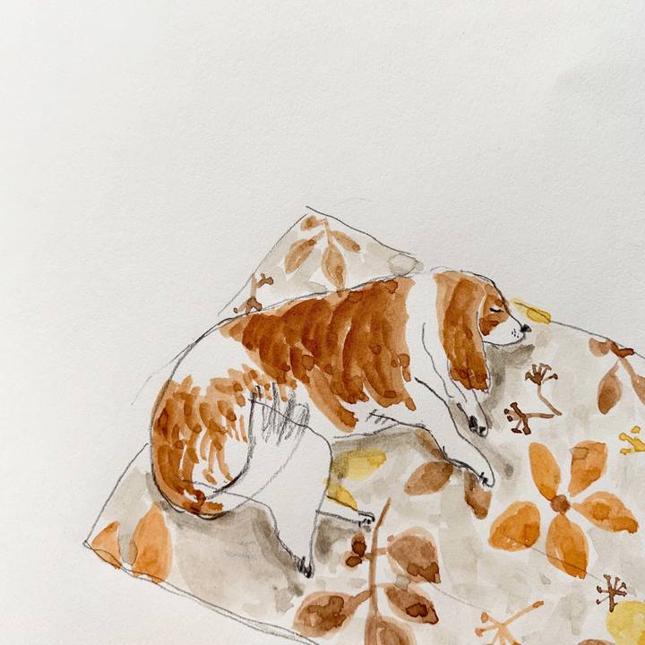 9a617bfb 3cb5 412c a66d 0c7fa6e4498c 1592291873541