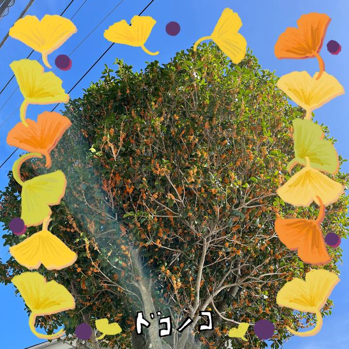 9a6185e6 f641 4630 9e8b 3d1fa0322f6b 1729649601762