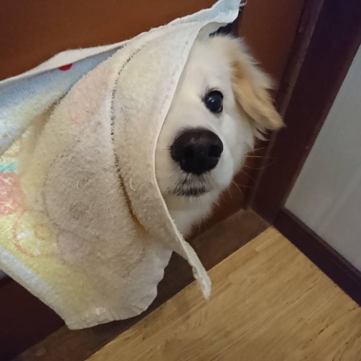 9a61ab60 2eb7 4c45 af13 a8cfe453c72e 1523310222402