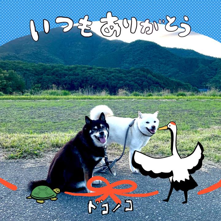 9a61cf14 baac 4c08 87af 3893866ed1d4 1727060014980