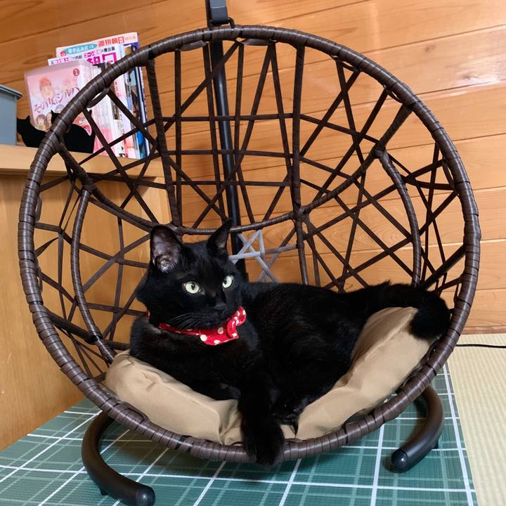 9a61f252 62d7 4c92 9ff5 dec8f0dd554b 1615093096889