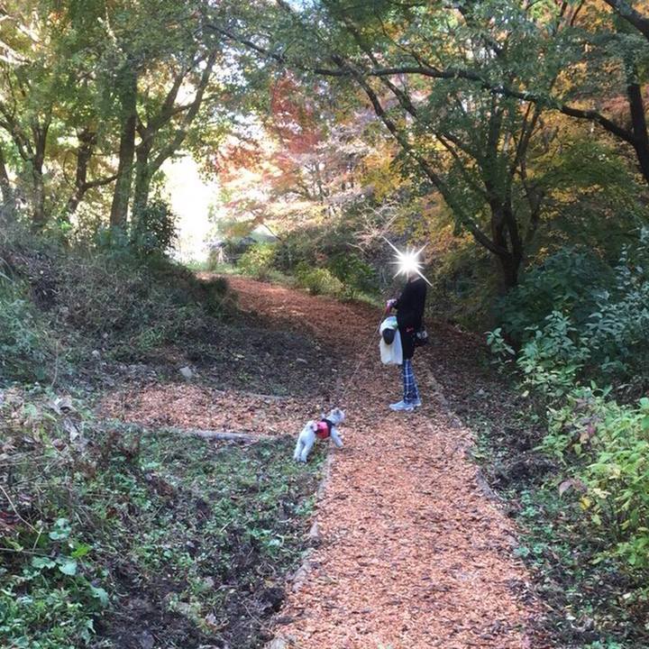 9a62a9cb 23e7 4041 9e5d 087fd2235f5f 1511263442071