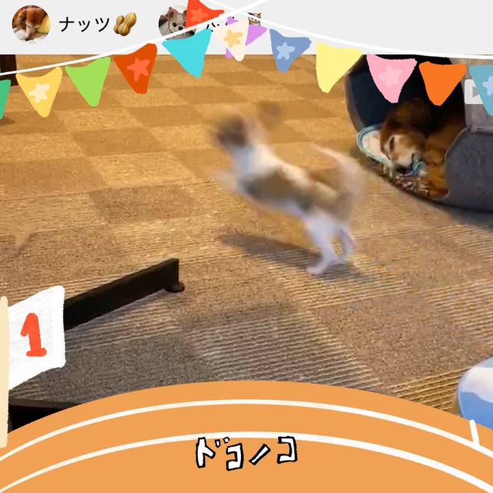 9a62d6fa d62b 4112 af48 c0397f8e841a 1761214546746