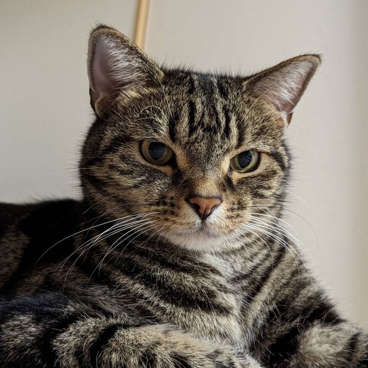 9a62f031 b924 42c2 bdf9 ad1ab328f0f1 1689036966768