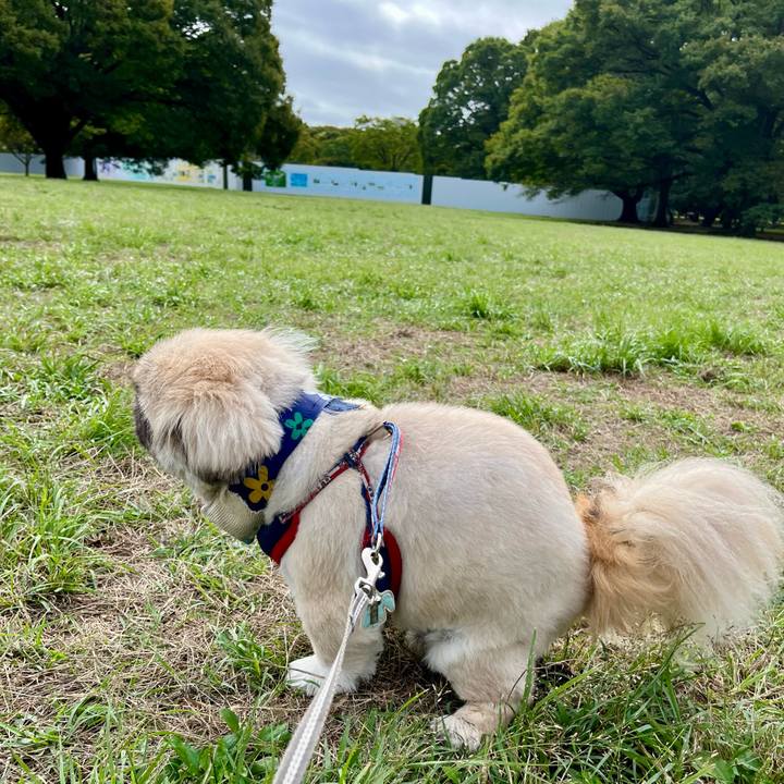 9a6329ee e2ab 4cfb 91fb 6e7b38e26194 1727313934900