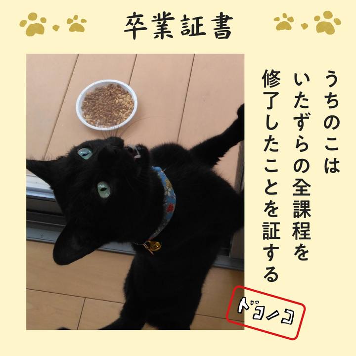 9a635ee4 dc5a 4e9b 9dd9 6de4c246539f 1772346658294