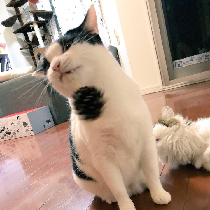 9a635fcc 3afe 46e0 96d1 3f3efef0c050 1533440237818