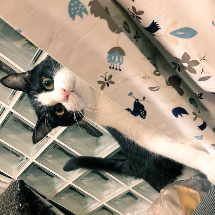 9a6382c5 142e 4917 94d6 8f986bc84eb9 1540748139318