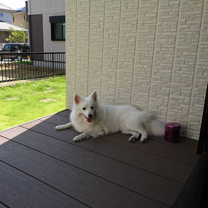 9a63869e e6e6 4c98 96a7 6039ea90339f 1532927329143