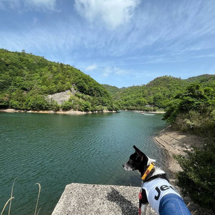 9a63968c 6196 4d8f a866 e710172fe97f 1747621055034