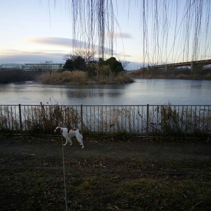 9a639ae8 ee93 44a4 b81c 7c7961e17df8 1518047372359