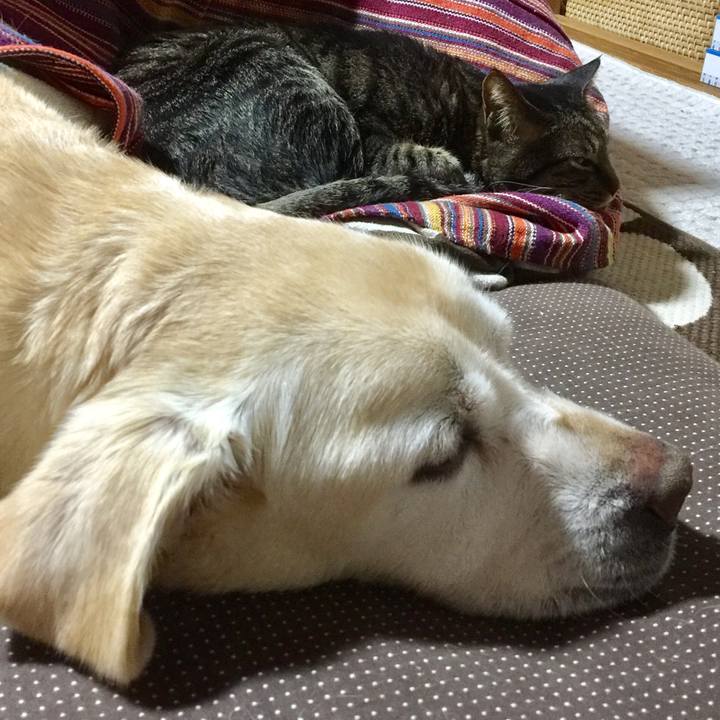 9a63b4bf 48d1 4cd6 9c1a 037590bcb534 1616246210777